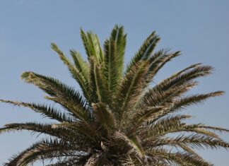 Caravan Messe Düsseldorf 2024: Entdecken Sie Die Neuheiten