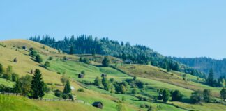 SV Wehen Gegen Düsseldorf: Wer Wird Das Spannende Duell Gewinnen?