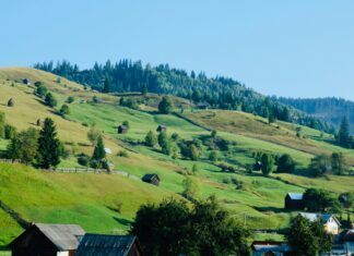SV Wehen Gegen Düsseldorf: Wer Wird Das Spannende Duell Gewinnen?