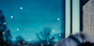 Flughafen Düsseldorf Günstig Parken: Tipps Für Sparsame Reisende