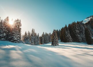 Greuther Fürth Vs. Düsseldorf: Wer Dominierte Im Aufeinandertreffen?
