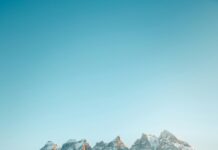 Darmstadt 98 Vs. Düsseldorf: Wer Geht Als Sieger Vom Platz?