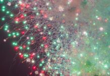 Teilnehmer: Fortuna Düsseldorf Spieler Und Ihre Geheimnisse Entdecken