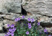 Hardeck & Hardi Einrichtungshaus Düsseldorf-Hilden: Ihr Traum Zuhause?