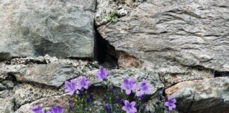 Hardeck & Hardi Einrichtungshaus Düsseldorf-Hilden: Ihr Traum Zuhause?