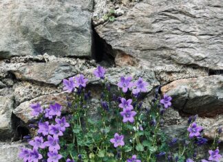 Hardeck & Hardi Einrichtungshaus Düsseldorf-Hilden: Ihr Traum Zuhause?