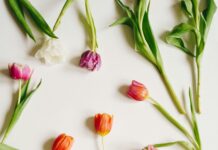 Hotel Düsseldorf Tulip Inn: Entdecken Sie Ihren Traumaufenthalt!