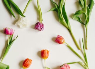 Hotel Düsseldorf Tulip Inn: Entdecken Sie Ihren Traumaufenthalt!