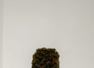 Haus Und Grund Düsseldorf: Entdecken Sie Die Besten Immobilienangebote!