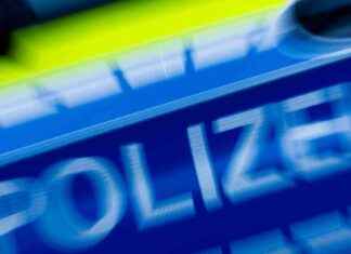 Razzia gegen Drogenhändler: Durchsuchung von 14 Wohnungen in Schleswig-Holstein razzia-gegen-drogenhndler-durchsuchung-von-14-wohnungen-in-schleswig-holstein