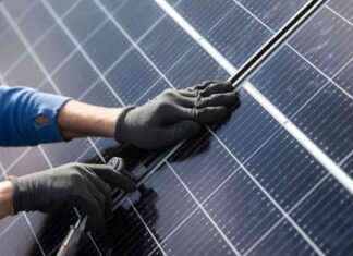 Solarausbau in Großstädten: Tipps zur Vermeidung von schwarzen Schafen solarausbau-in-grostdten-tipps-zur-vermeidung-von-schwarzen-schafen