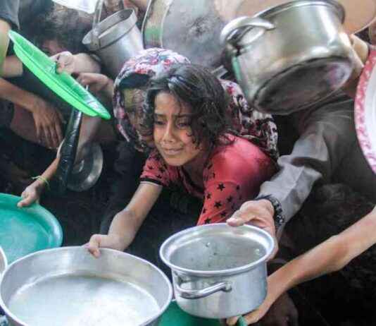 Israel plant erneute humanitäre Hilfe für Gaza zu ermöglichen. srael-plant-erneute-humanitre-hilfe-fr-gaza-zu-ermglichen