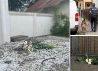 Tragisches Verbrechen: Dreifache Mutter Nina H. ermordet – „Arme Kinder nicht aus dem Kopf“ tragisches-verbrechen-dreifache-mutter-nina-h-ermordet-arme-kinder-nicht-aus-dem-kopf