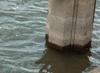 Trockenheit bremst die Wirtschaft aus in Deutschland | SAT.1 NRW trockenheit-bremst-die-wirtschaft-aus-in-deutschland-sat1-nrw