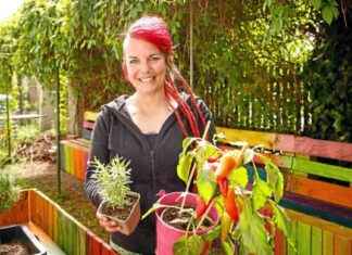 Veganer Biergarten Rübenrot eröffnet in Augsburg veganer-biergarten-rbenrot-erffnet-in-augsburg