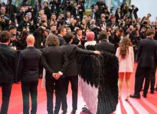 Vogelmann auf rotem Teppich sorgt in Cannes für Aufsehen vogelmann-auf-rotem-teppich-sorgt-in-cannes-fr-aufsehen