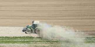 Was bedeutet der trockenste Frühling für den Sommer? – Auswirkungen und Prognosen was-bedeutet-der-trockenste-frhling-fr-den-sommer-auswirkungen-und-prognosen