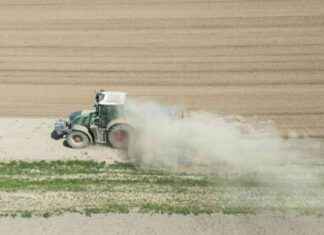 Was bedeutet der trockenste Frühling für den Sommer? – Auswirkungen und Prognosen was-bedeutet-der-trockenste-frhling-fr-den-sommer-auswirkungen-und-prognosen
