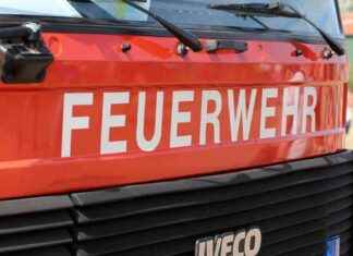Wohnungsbrand in Dortmund: Toter gefunden | SAT.1 NRW – Infopage zur Sendung wohnungsbrand-in-dortmund-toter-gefunden-sat1-nrw-nfopage-zur-sendung
