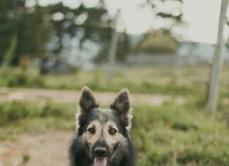 Das Wetter Für Düsseldorf: Was Erwartet Uns An Diesem Wochenende?