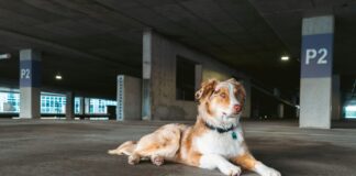 Parkhaus P2 Flughafen Düsseldorf: Ihr Geheimtipp Für Stressfreies Parken