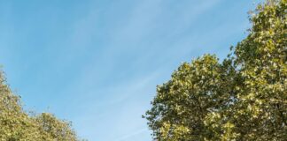 Thalia Mayersche Düsseldorf – Königsallee: Entdecken Sie Verborgene Schätze!