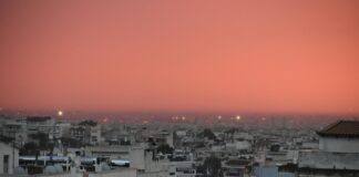 Nik The Greek Düsseldorf: Entdecken Sie Die Beste Griechische Küche