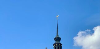 Aufstellungen: Teilnehmer Der Spannenden Partie Dynamo Dresden Gegen Fortuna Düsseldorf