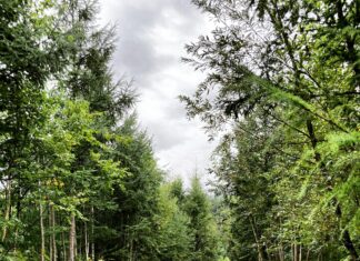 Heute Wetter in Düsseldorf: Entdecke Das Perfekte Outdoor-Erlebnis!