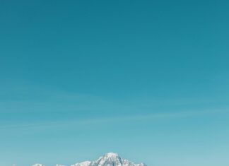 Disney On Ice Düsseldorf: Ein Magisches Erlebnis Für Die Ganze Familie