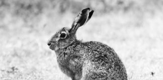 Düsseldorfer Tabelle 2024 Zahlbeträge: Was Bedeutet Das Für Sie?