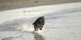 Mr Wash Düsseldorf Bilk: Entdecken Sie Den Beste Autowaschservice