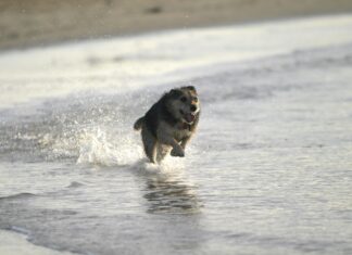 Mr Wash Düsseldorf Bilk: Entdecken Sie Den Beste Autowaschservice