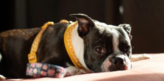 Parken Am Flughafen Düsseldorf: Tipps Für Stressfreies Reisen