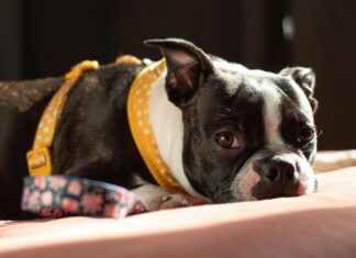 Parken Am Flughafen Düsseldorf: Tipps Für Stressfreies Reisen