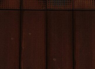 Dynamo Dresden Gegen Fortuna Düsseldorf: Wer Holt Den Sieg?