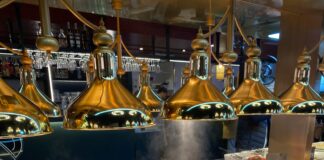 Düsseldorf Sushi All You Can Eat: Entdecke Die Besten Angebote!