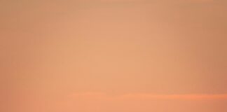 CCD Congress Center Düsseldorf: Entdecken Sie Die Vielseitigkeit