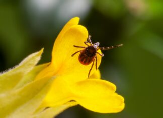Fly Und Park Düsseldorf: Entdecken Sie Die Besten Optionen