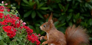 Die Niu Tab Düsseldorf: Entdecken Sie Ein Unvergessliches Erlebnis