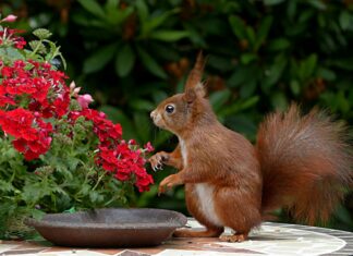 Die Niu Tab Düsseldorf: Entdecken Sie Ein Unvergessliches Erlebnis