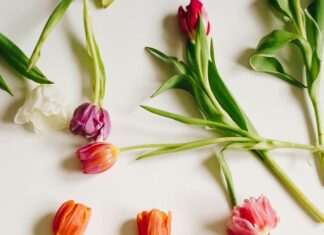 Bauhaus Düsseldorf Gerresheim: Entdecken Sie Einzigartige Designs!