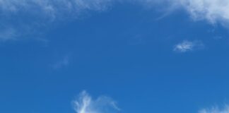 Open Air Kino Düsseldorf: Magische Filmnächte Unter Sternen