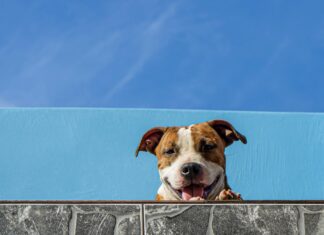 Parken Am Düsseldorfer Flughafen: Tipps Für Stressfreies Reisen