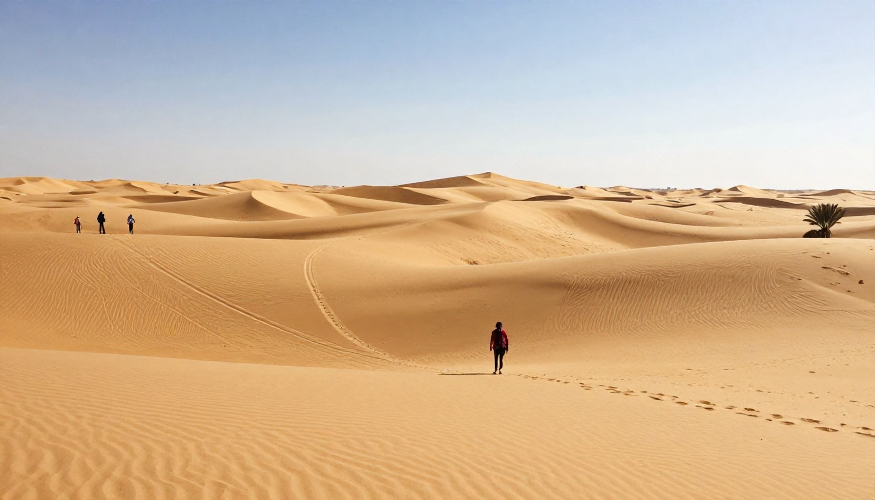 Die Wahrheit über die Düsseldorf Sahara: Warum sie mehr ist als nur ein Park*