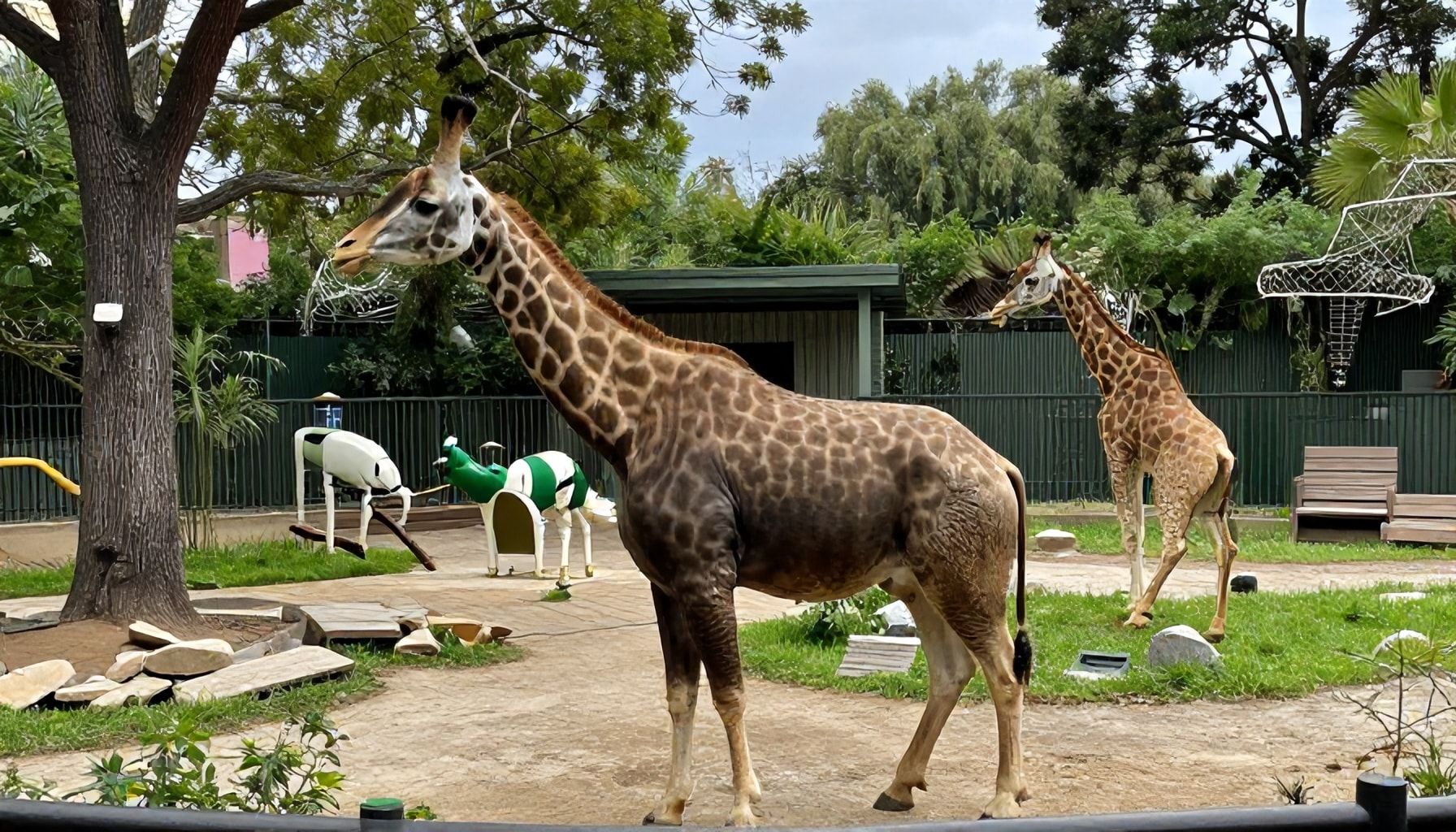 Die Wahrheit über die Lebensqualität im Zooviertel – was niemand erwähnt*