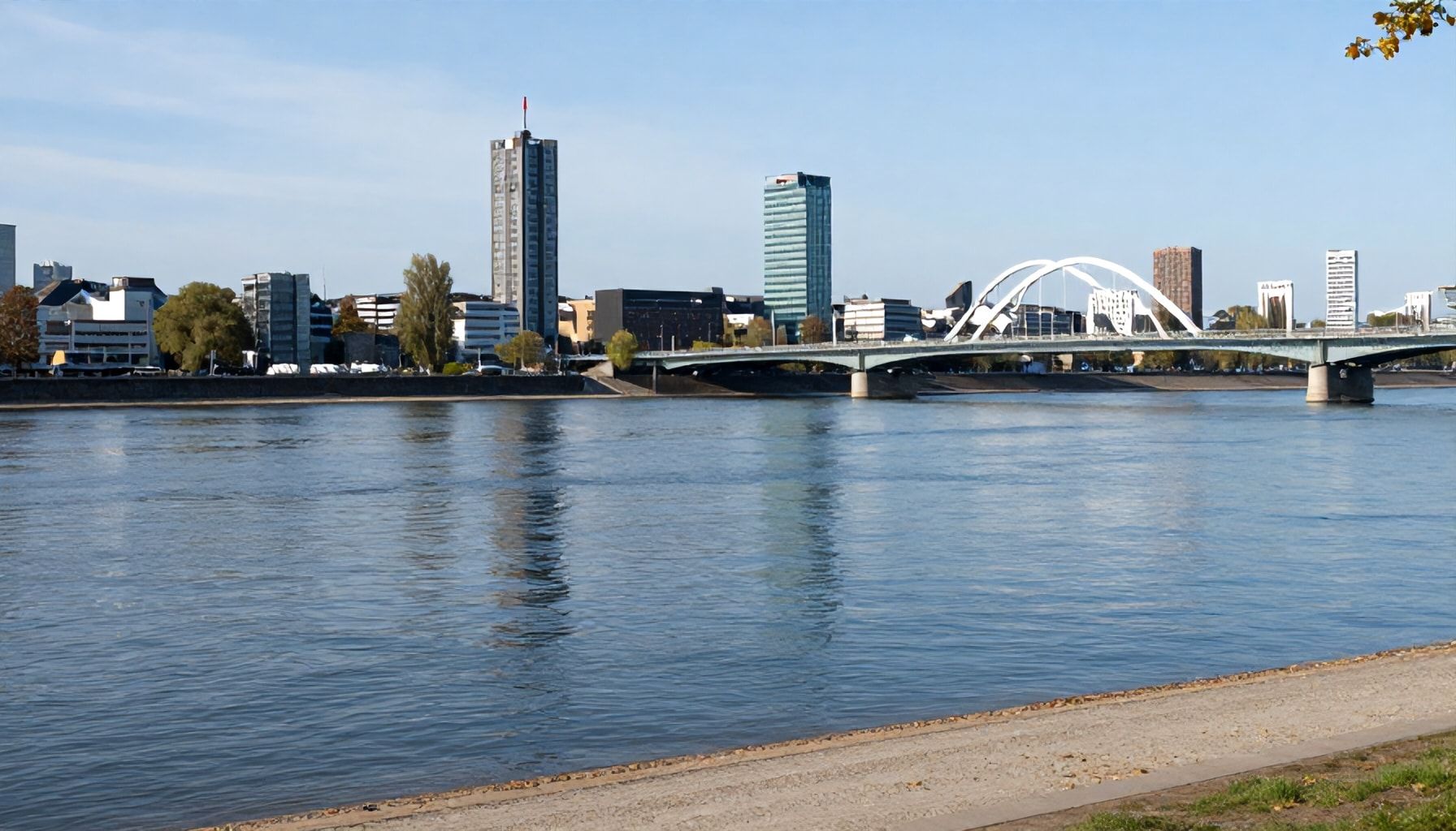 Die Wahrheit über die Wasserqualität des Rheins in Düsseldorf*