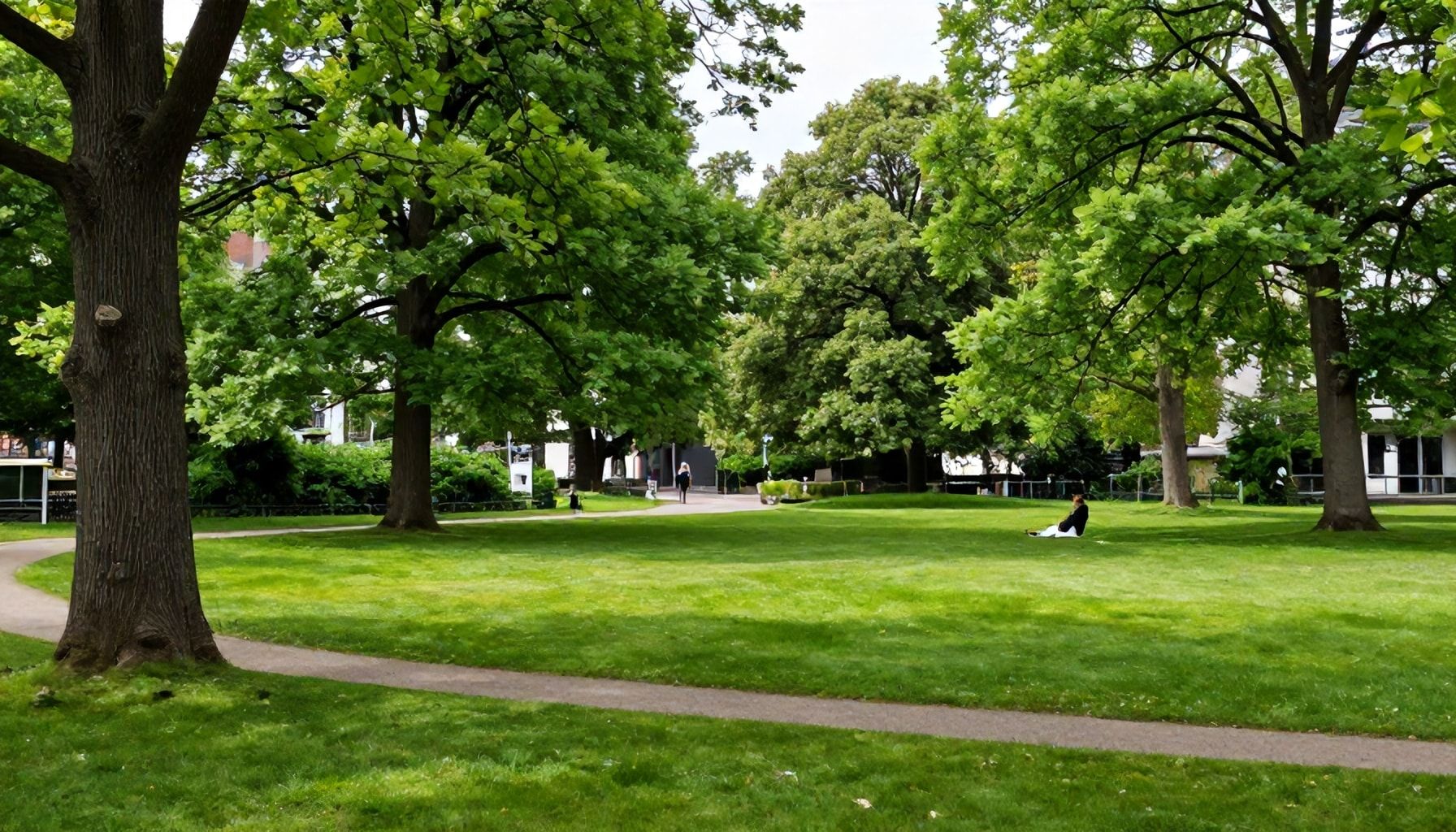 Die Wahrheit über Düsseldorfs versteckte Grün-Oasen – So finden Sie sie*