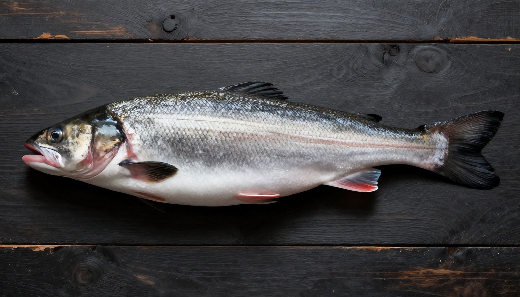 Die Wahrheit über frischen Fisch in Düsseldorf – was Sie vor dem Bestellen wissen sollten*