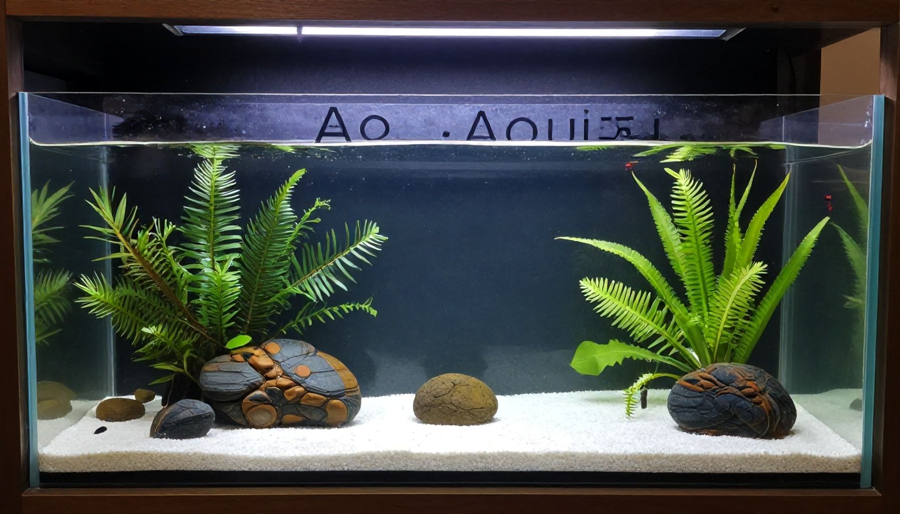 How to Make the Most of Your Aquazoo Düsseldorf Trip: Insider Tips for an Unforgettable Experience*